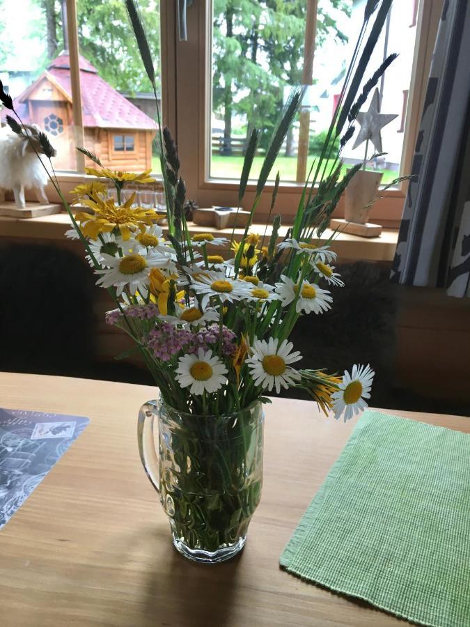 Chalet Karin Хохфилцен Екстериор снимка